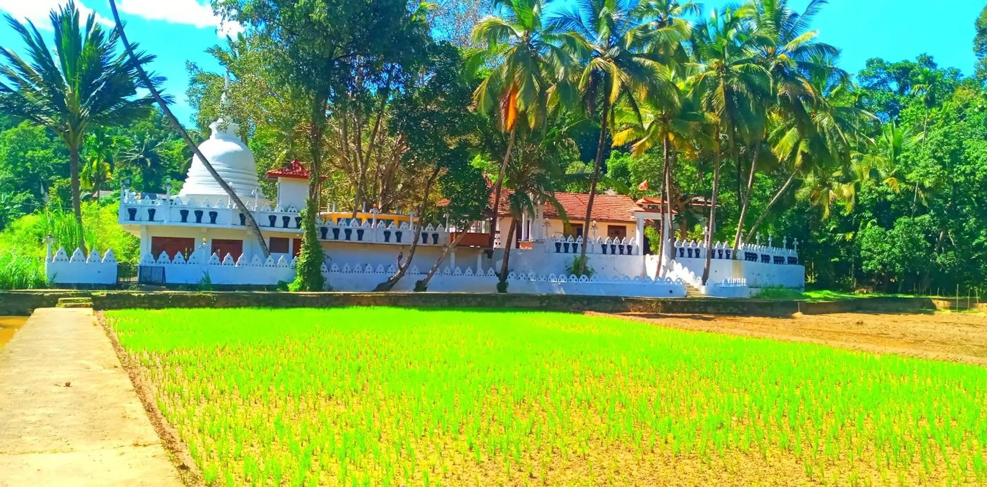 Galkotuwa Estate Apartment Gelioya